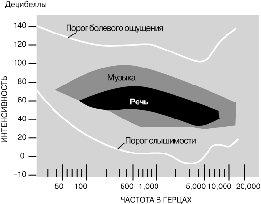 Омг тор зайти через комп